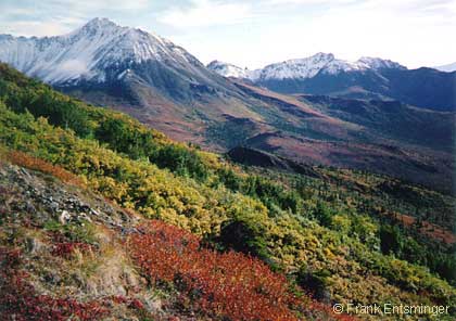 Toke Management Area countryside