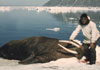 Subsistence hunter with walrus