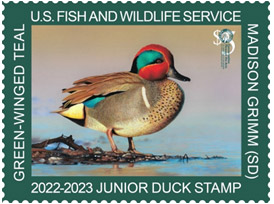 2019 Junior Duck Stamp