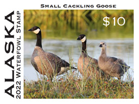 State Duck Stamp