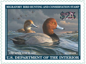 Federal Migratory Bird Hunting Stamp