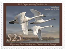 Federal Migratory Bird Hunting Stamp