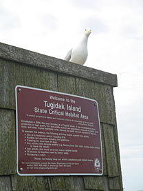 Tugidak Island State Critical Habitat Area sign with seagull