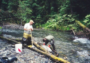 Sampling at Greens Creek