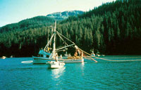A healthy watershed is important to commercial fishing