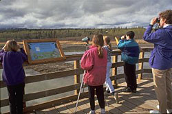 Wildlife viewing at Potter Marsh