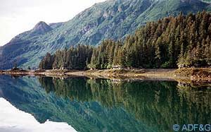 Kachemak Bay