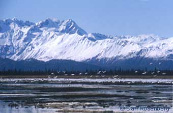 Redoubt Bay Critical Habitat Area