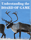 Board of Game Process