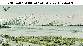 Alaska Bird Center at Potter Marsh