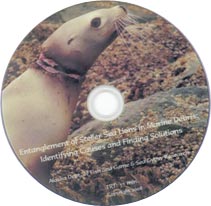 Steller Sea Lions DVD Image