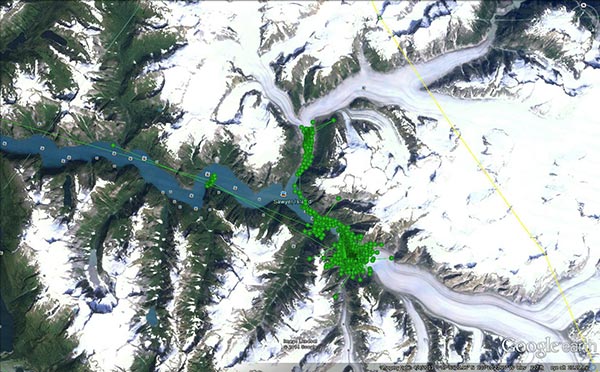 Map of seal movements near Tracy Arm