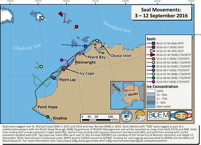 Detail of Norton Sound tracking activities