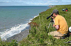 Researcher observing harbor seals on Tugidak Island