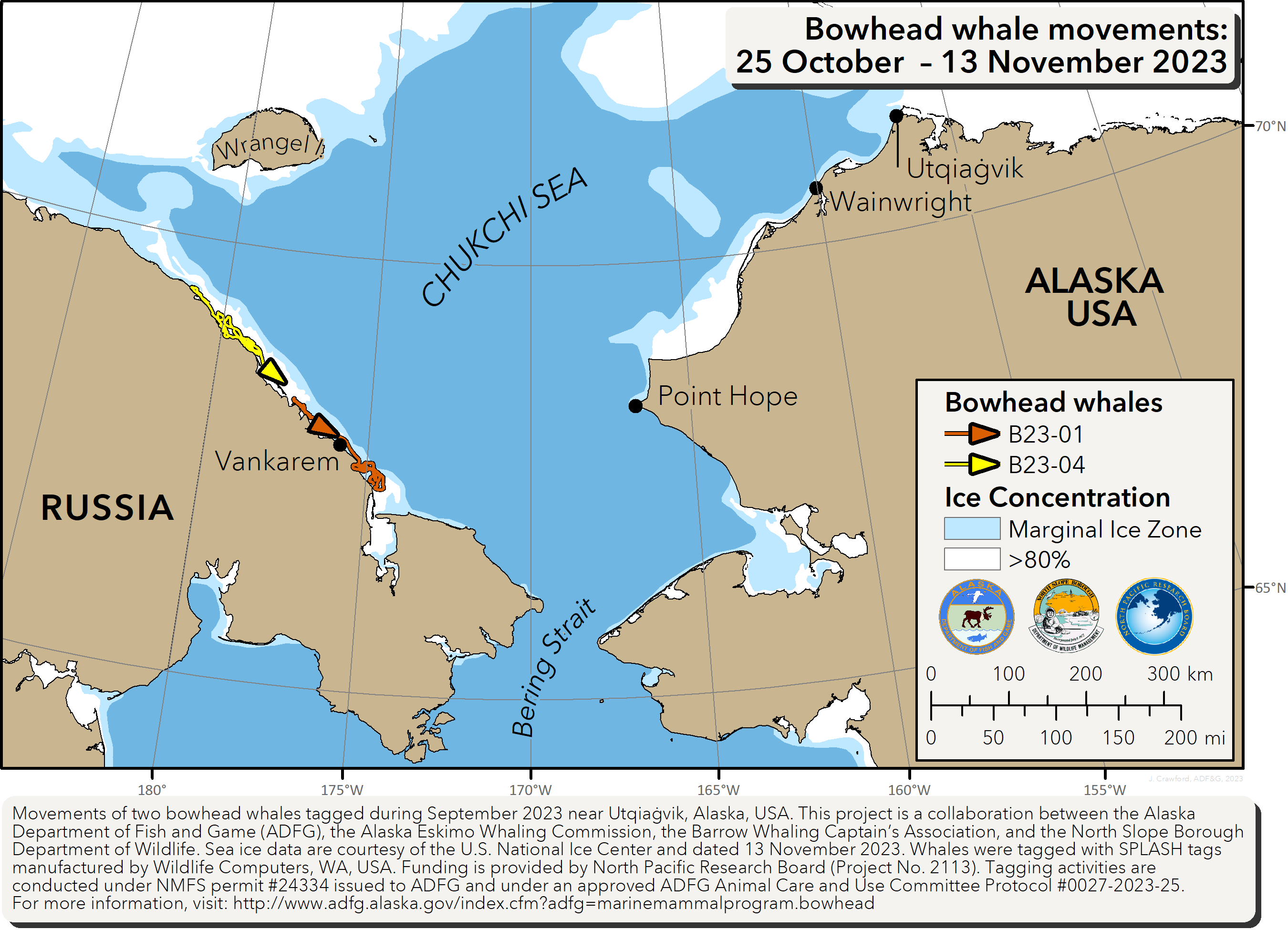 Map tracking bowhead whale movements between 10/25/2023 – 11/13/2023