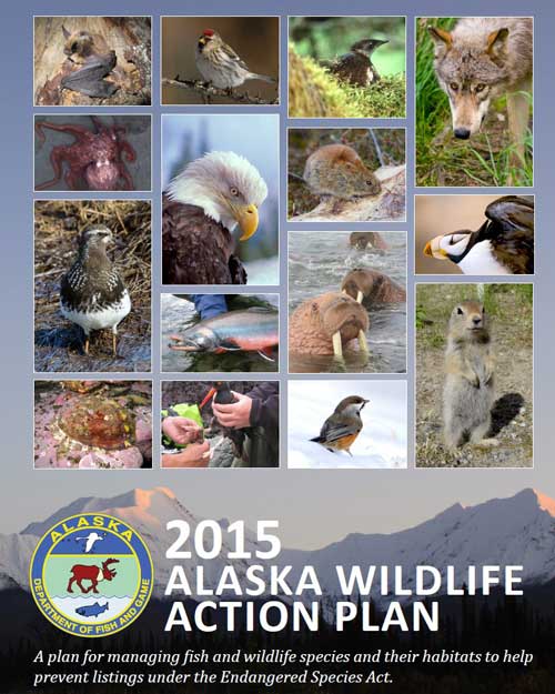 Wildlife Action Plan