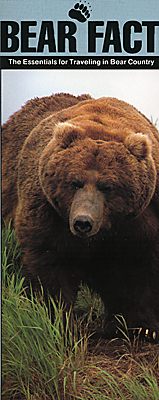 Bear Facts brochure