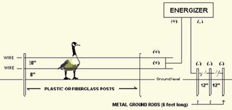 2-strand electric fence