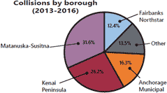 Moose collisions by borough, pie graph