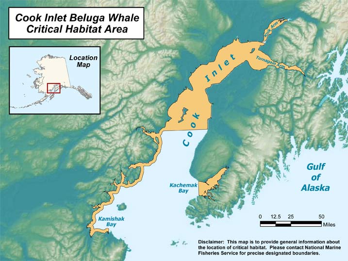 Cook Inlet Beluga Whale Federally Endangered Critical Habitat