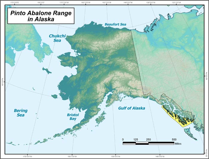 Range map of Pinto Abalone in Alaska