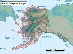 Arctic Lamprey range map