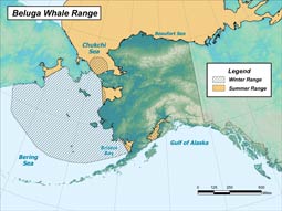 Beluga Whale range map
