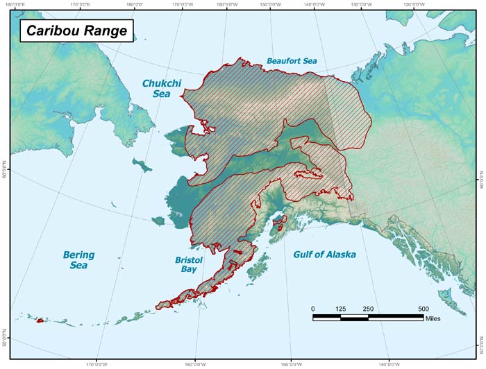 Range map of Caribou in Alaska