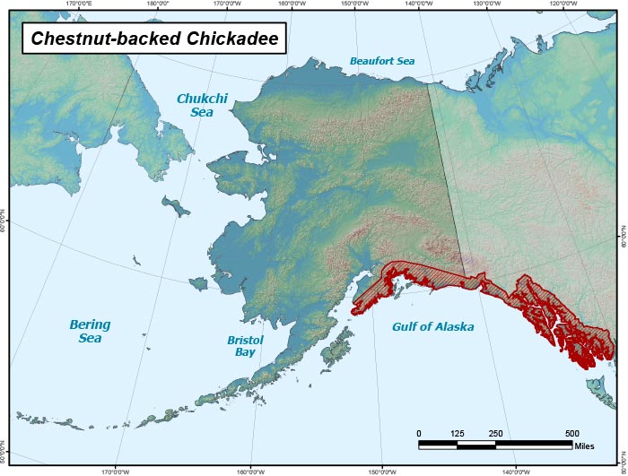 Range map of Chestnut-backed Chickadee in Alaska