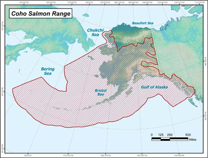 Range map of Coho Salmon in Alaska