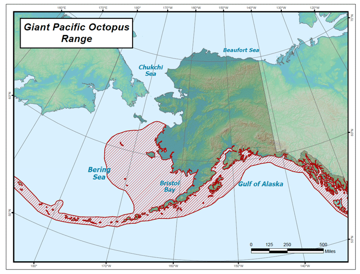 Range map of Giant Pacific Octopus in Alaska