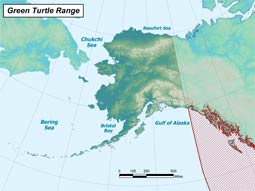 Green Sea Turtle range map