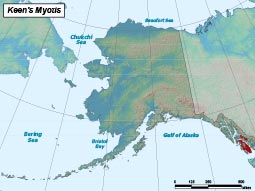 Keen's Myotis range map