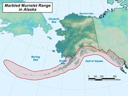 Marbled Murrelet range map