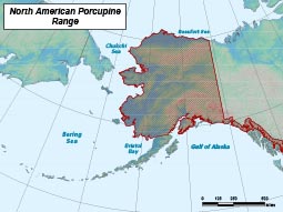 North American Porcupine range map