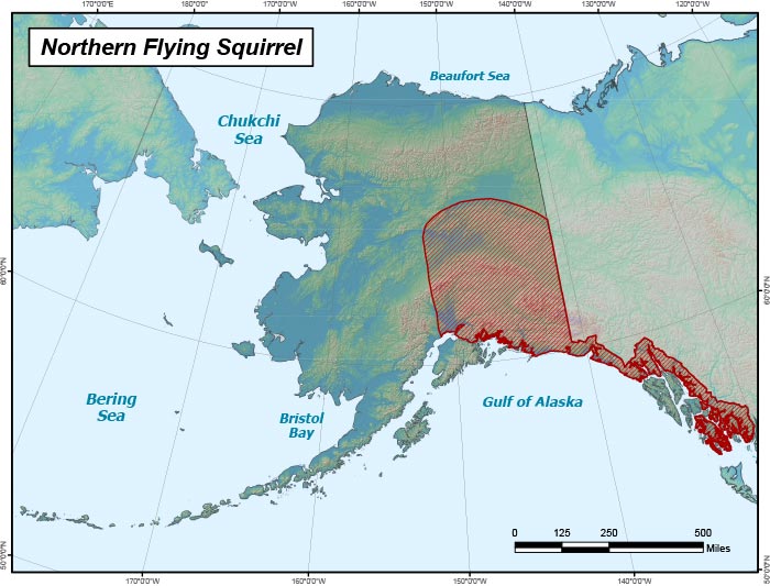 Range map of Northern Flying Squirrel in Alaska