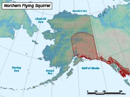 Northern Flying Squirrel range map