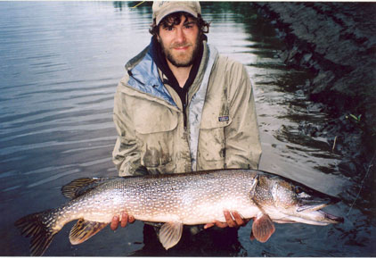 Photo of a Northern Pike