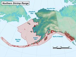 Northern Shrimp range map