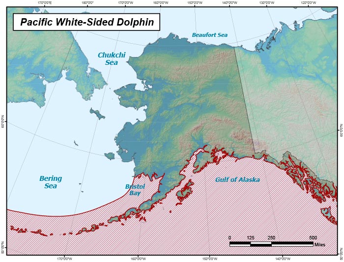Range map of Pacific White-sided Dolphin in Alaska