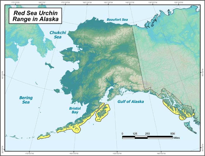 Range map of Red Sea Urchin in Alaska