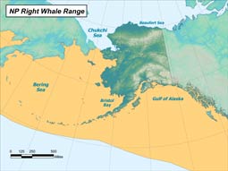 North Pacific Right Whale range map