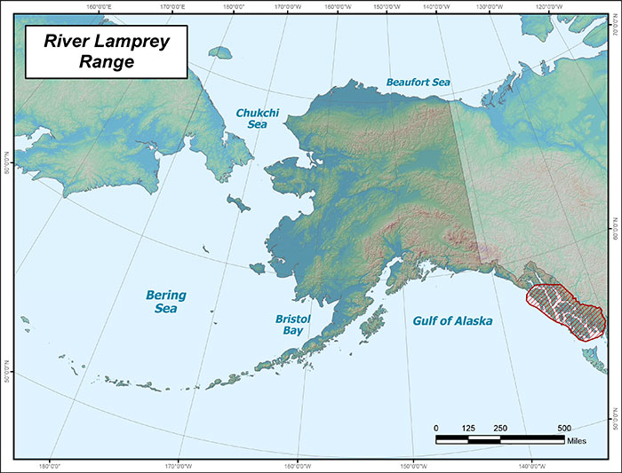 Range map of River Lamprey in Alaska