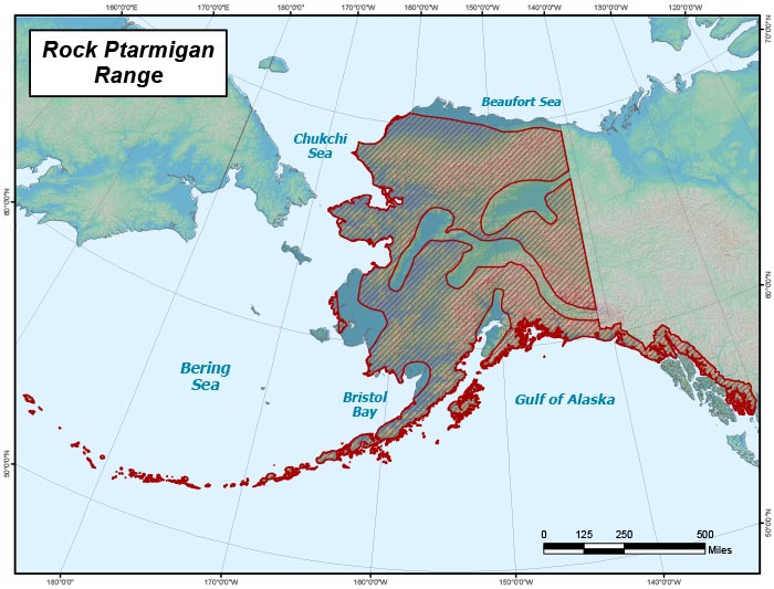 Range map of Rock Ptarmigan in Alaska