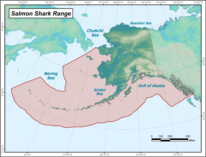 Range map of Salmon Shark in Alaska