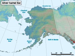 Silver-haired Bat range map