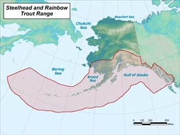 Steelhead / Rainbow Trout range map