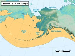Steller Sea Lion range map