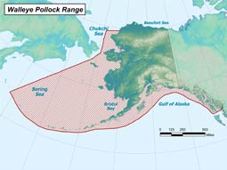 Walleye Pollock range map