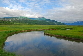 Potter Marsh in Southcentral Alaska